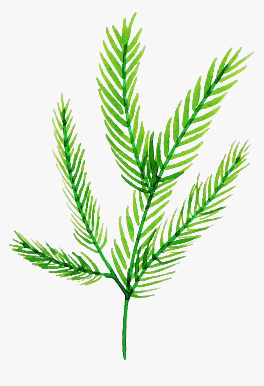 Illustration, HD Png Download