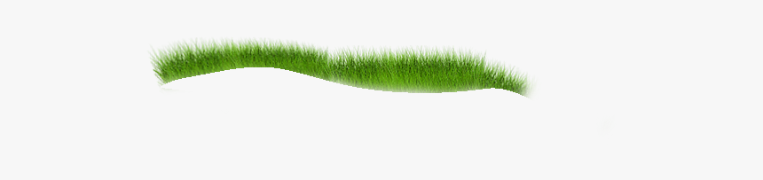 Eyelash, HD Png Download