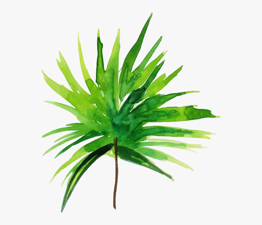 Grass, HD Png Download