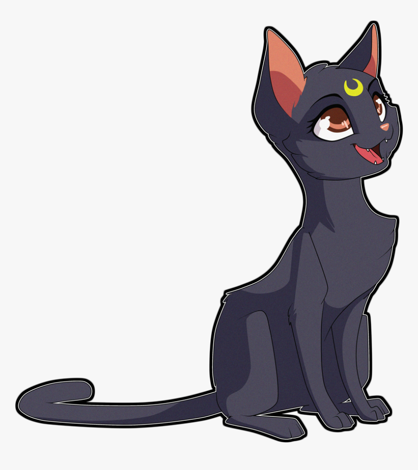 Domestic Short-haired Cat, HD Png Download