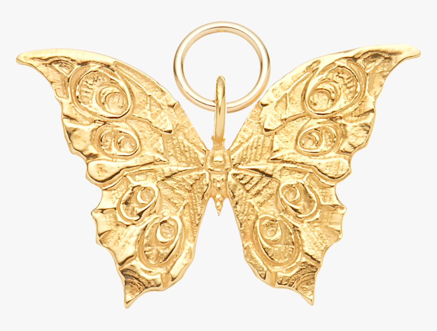 Papilio Machaon, HD Png Download