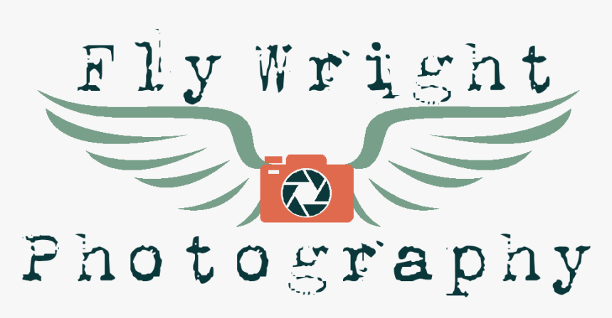 Photography Logo Design Png, Transparent Png