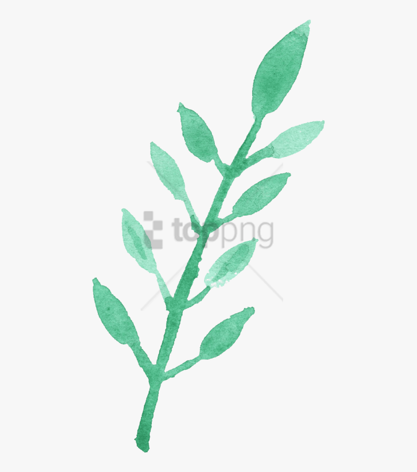 Free Png Watercolour Leaf Png Image With Transparent - Watercolor Leaf Clip Art, Png Download