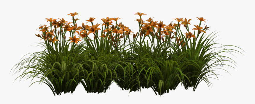 Flower Png For Editing, Transparent Png