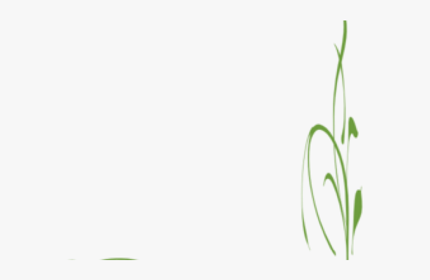 Vine Clipart Grass, HD Png Download