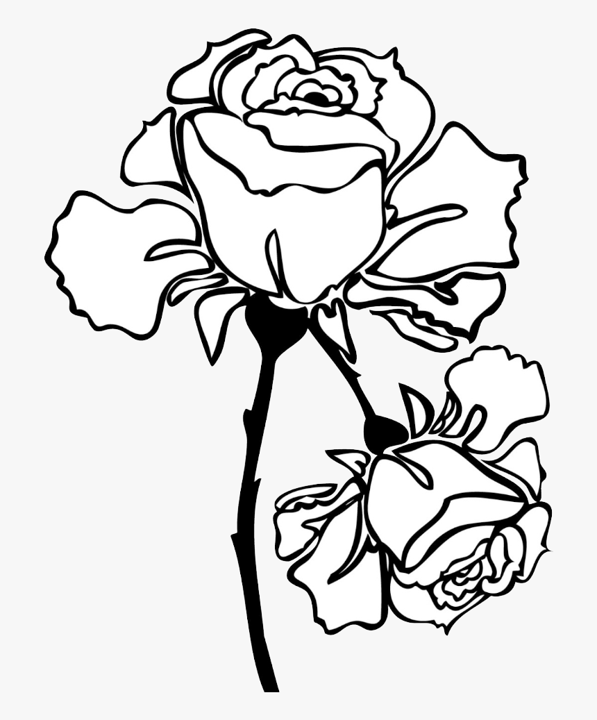 Hybrid Tea Rose, HD Png Download