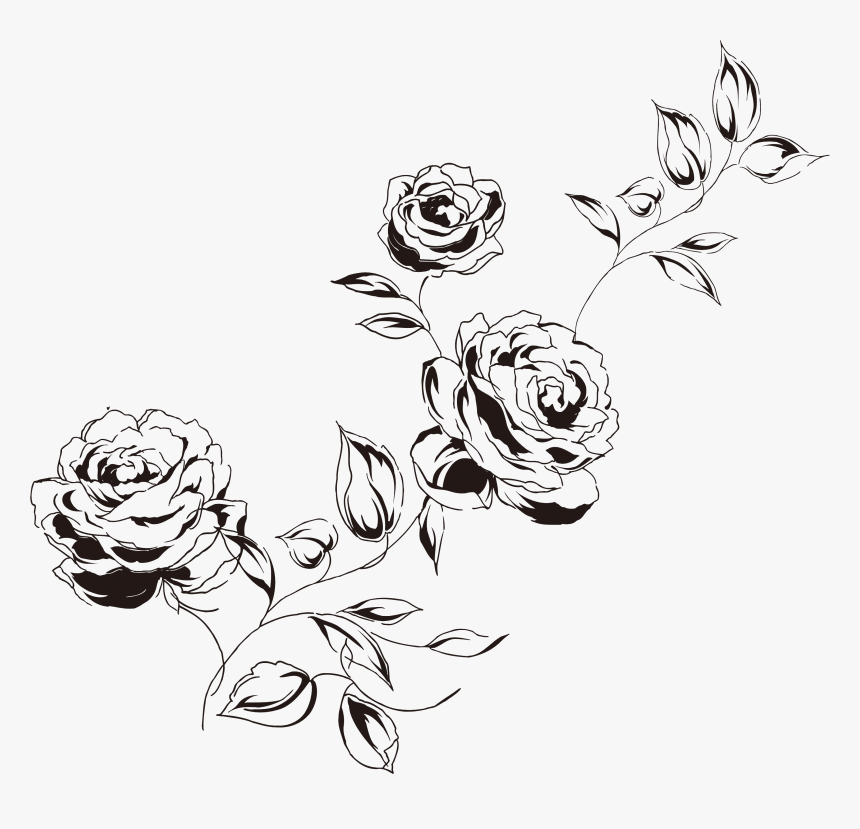 素描玫瑰元素图片 - Floribunda, HD Png Download
