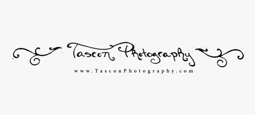 Calligraphy, HD Png Download