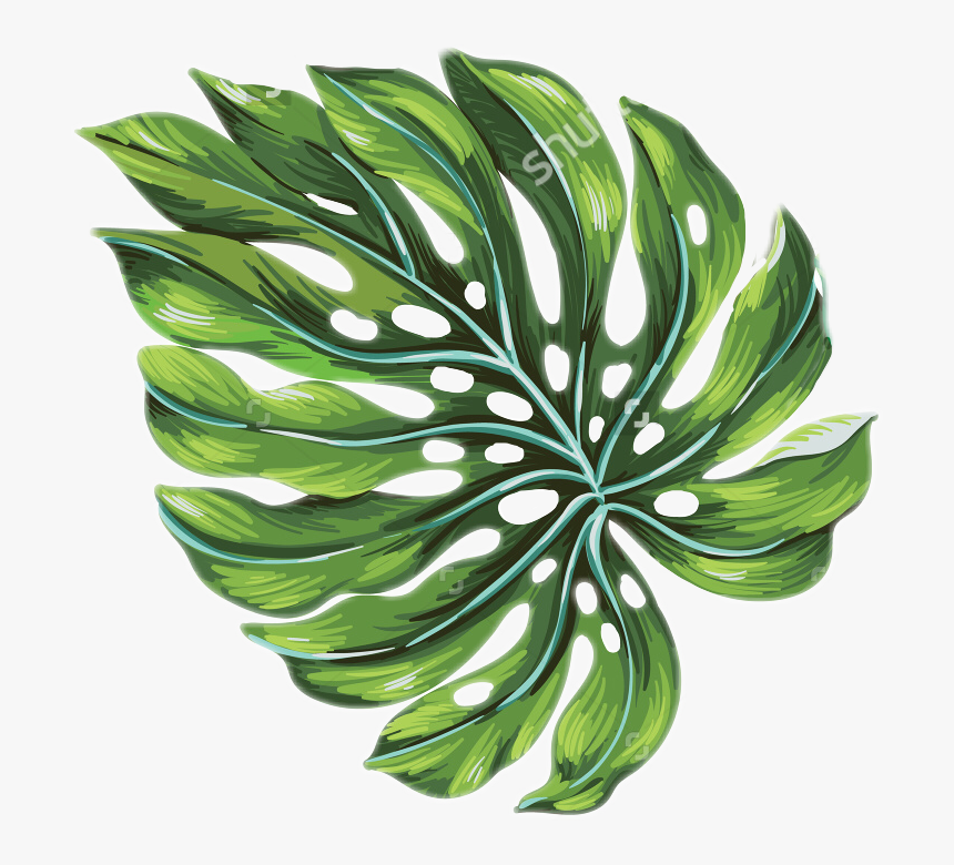 Palm Leaf Palmtrees Palmtree Freetoedit - Tropical Palm Leaf Transparent, HD Png Download