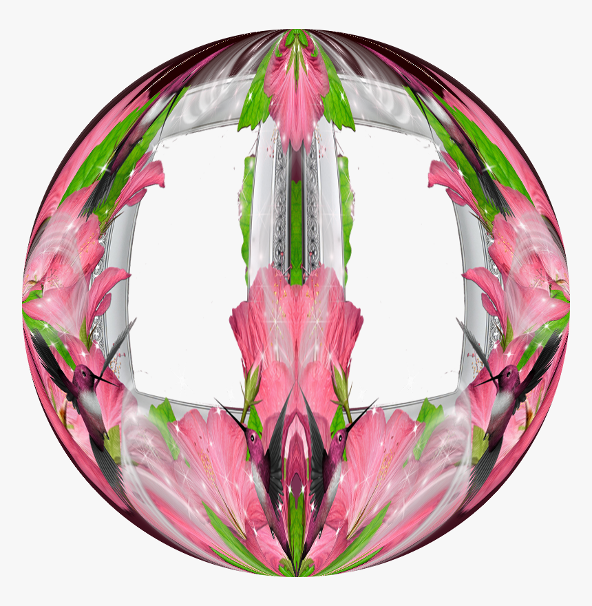 Floral Design, HD Png Download