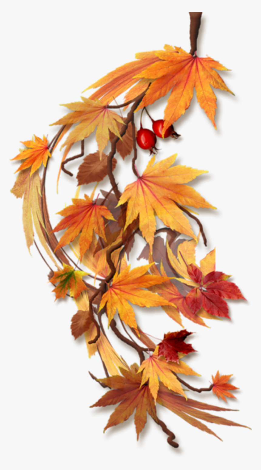 Transparent Fall Leaves Border Clipart - Feuilles D Automne Png, Png Download