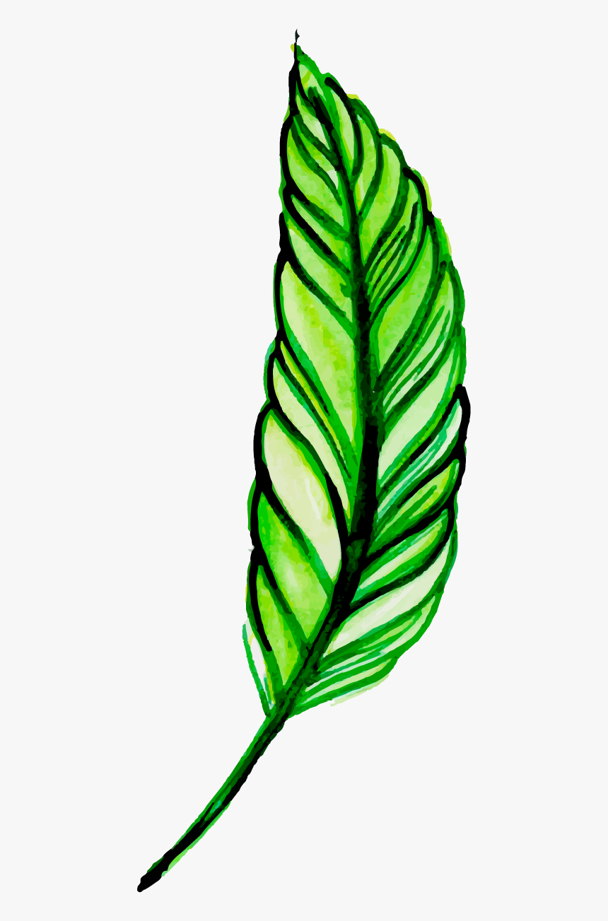 Clip Art, HD Png Download