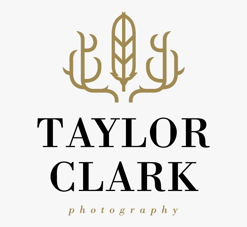 Tcp Logo Gold-black L - Logo, HD Png Download