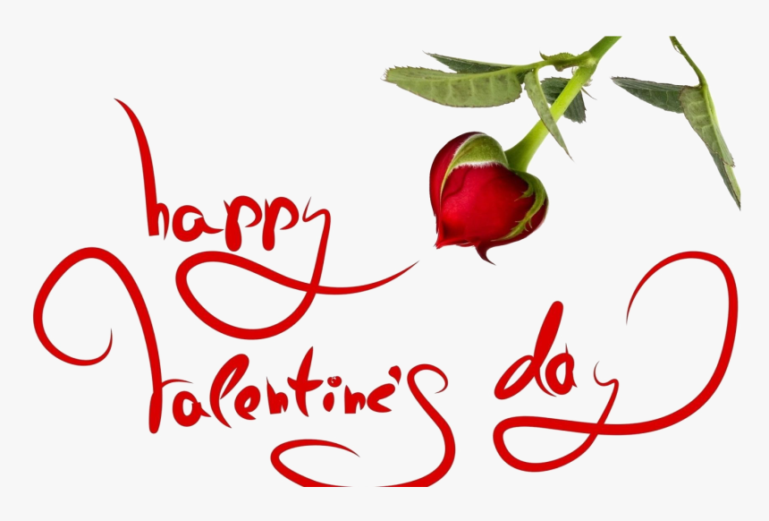 Valentine Day Flower Png Image Background - Valentine's Day Hearts Roses, Transparent Png