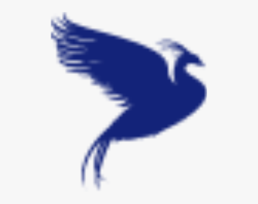 Ledar Fenix Group - Bird, HD Png Download