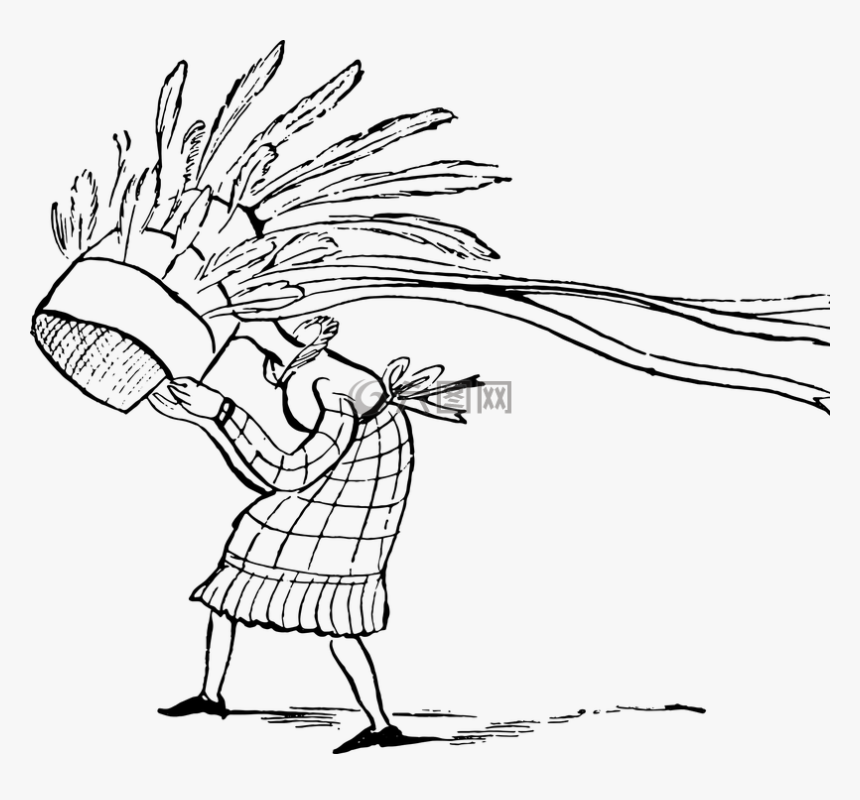 爱德华李尔,素描,酿酒 - Illustration, HD Png Download