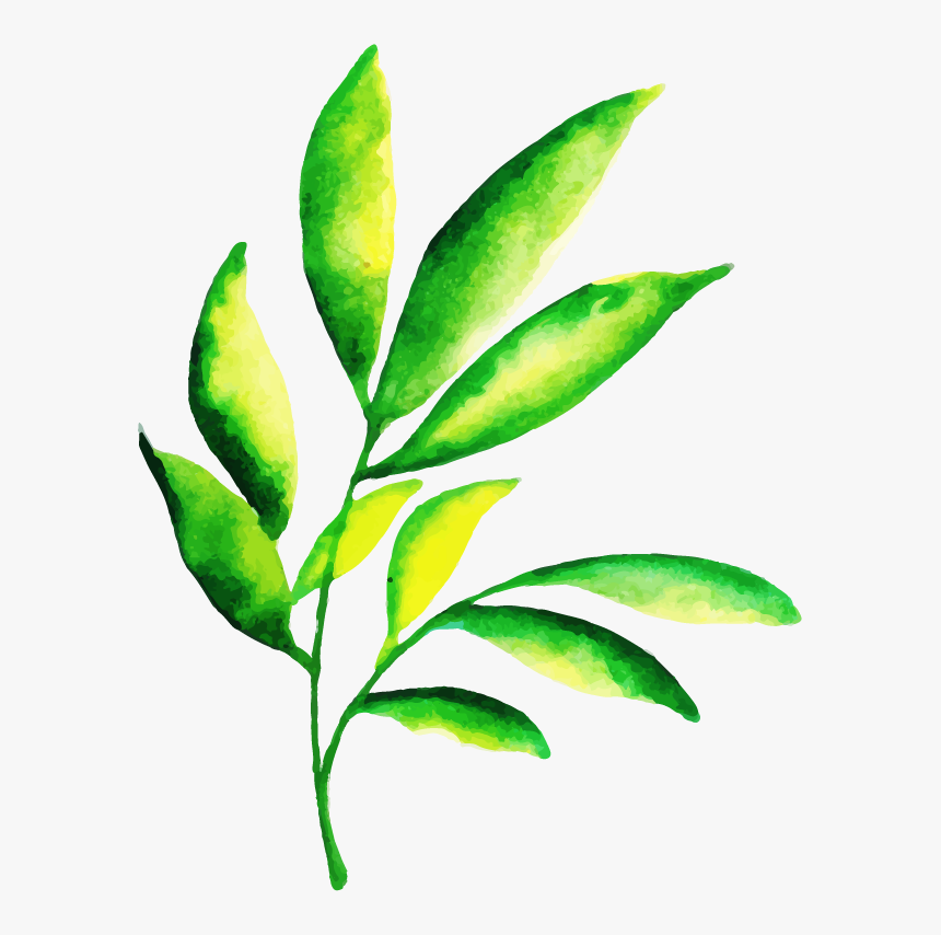 Illustration, HD Png Download