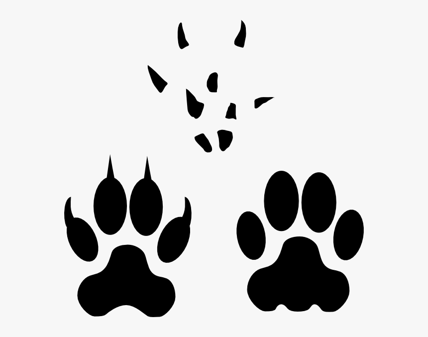 Steps Vector Foot Png Transparent Download - Transparent Coyote Paw Print, Png Download