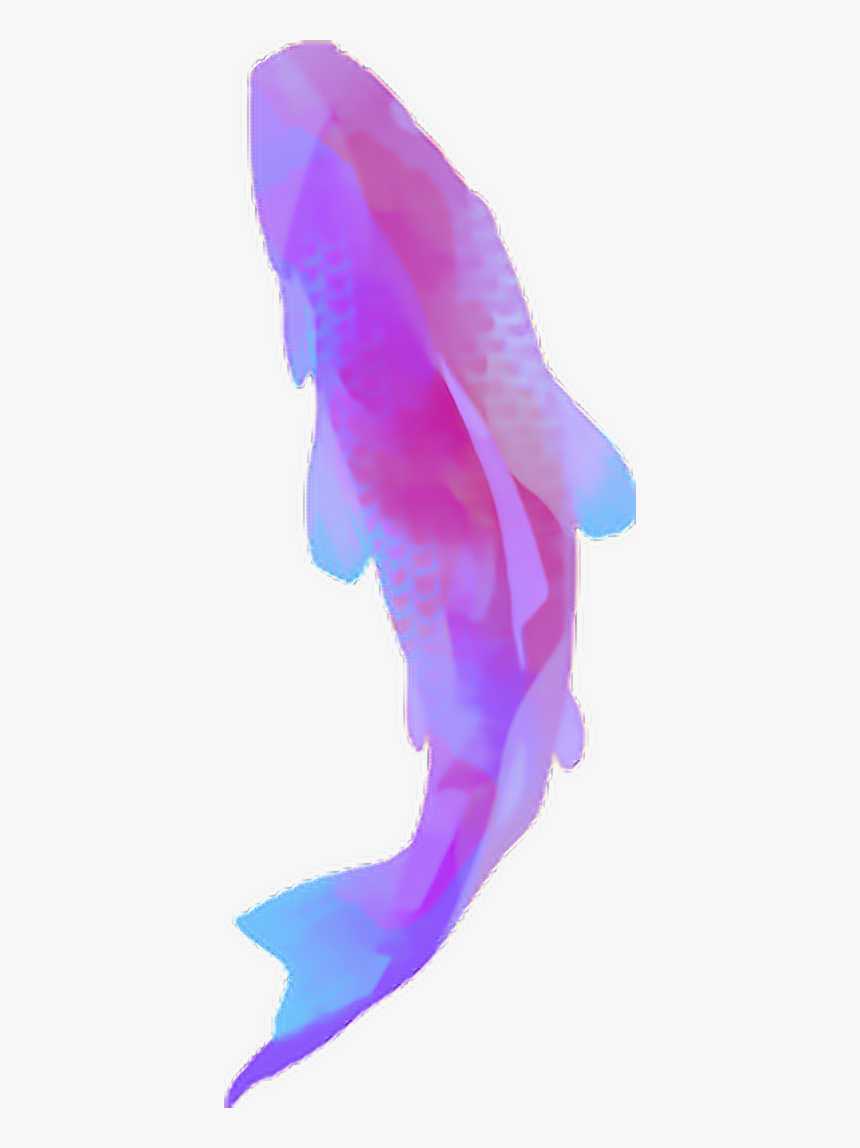 #violet #carpe #koi #fish #poisson #zen #vaporwave - Koinobori, HD Png Download