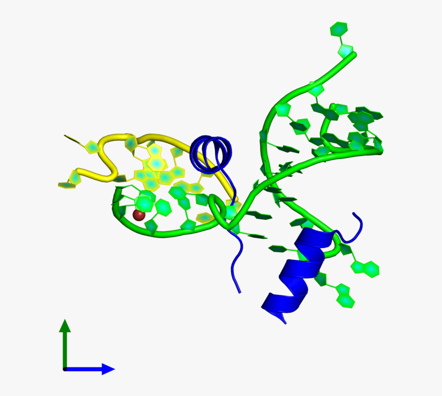 Graphic Design, HD Png Download