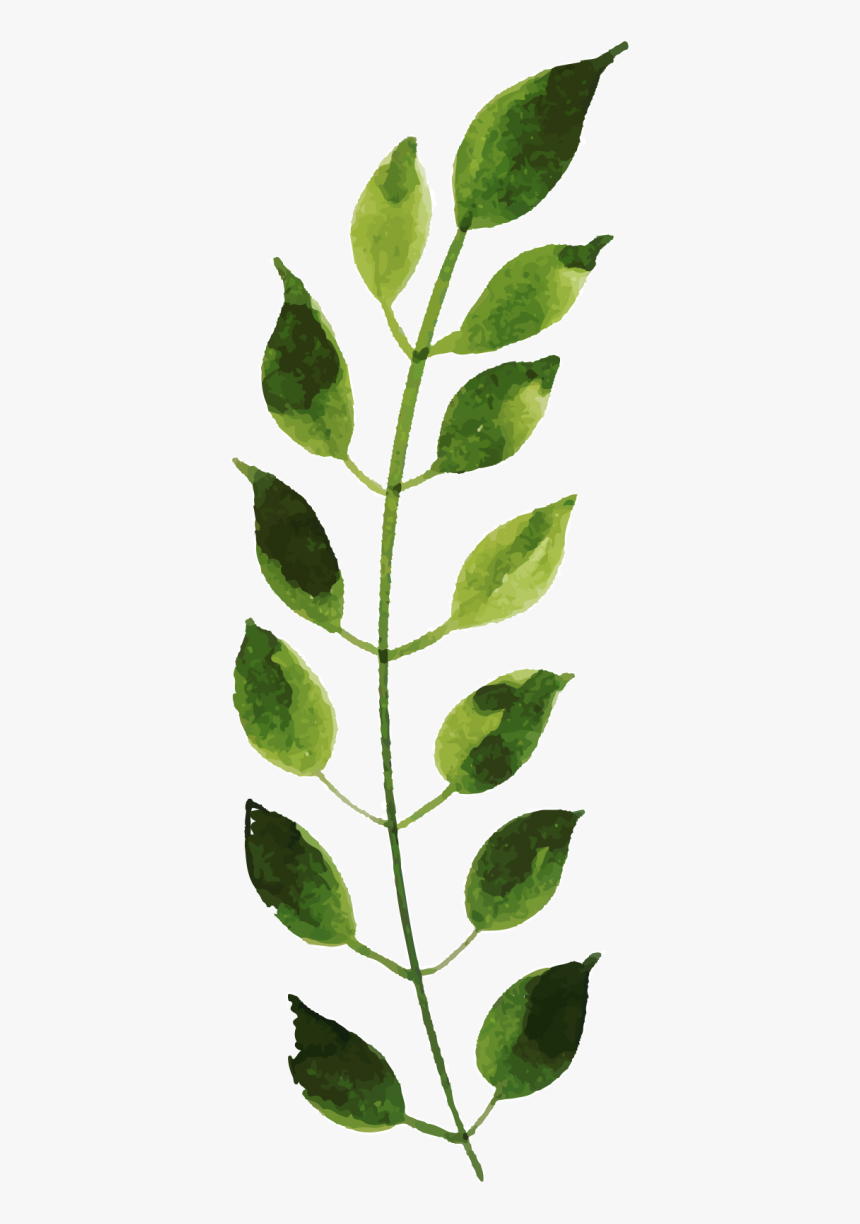 Bud, HD Png Download