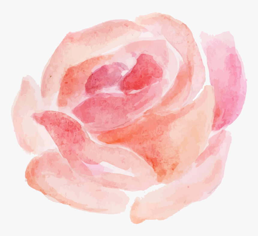 Garden Roses, HD Png Download