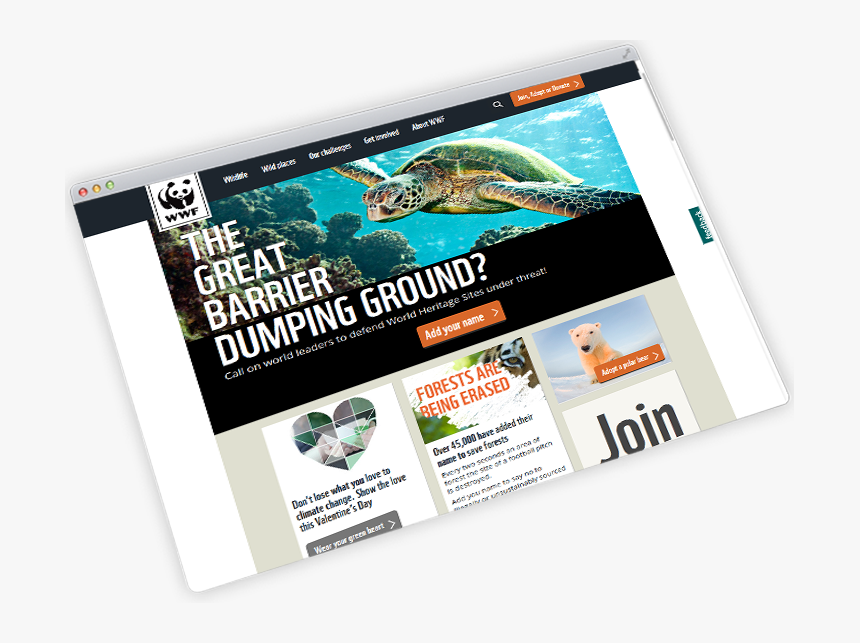 Web Development Portfolio - Flyer, HD Png Download