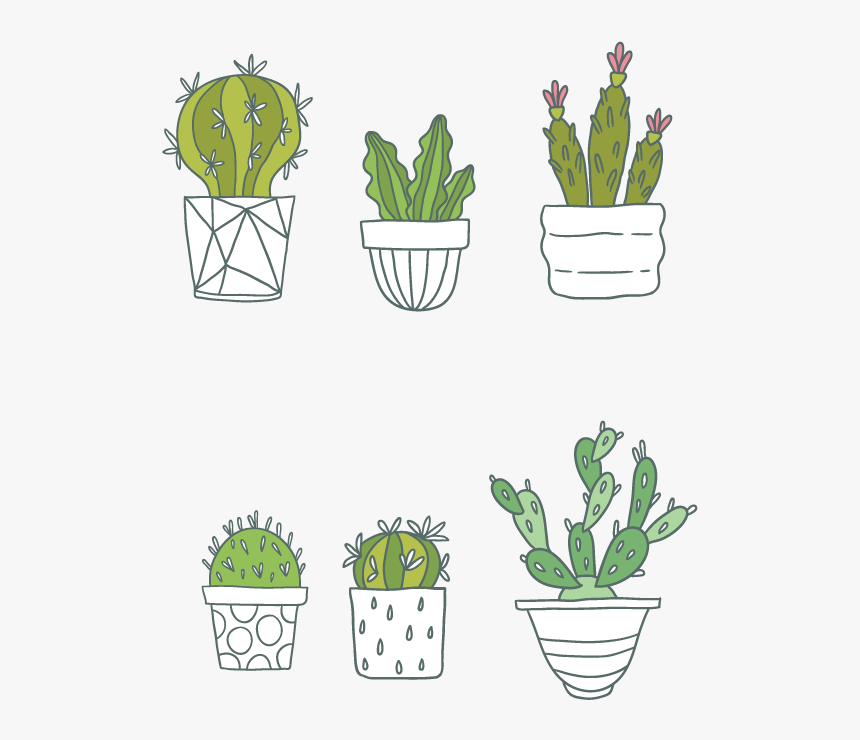 Cactaceae Succulent Plant Clip Art - Cactus, HD Png Download