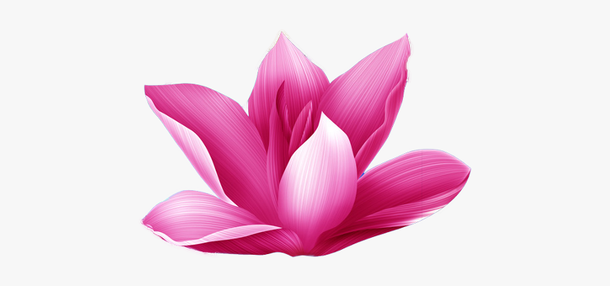 Freetoedit - Sacred Lotus, HD Png Download