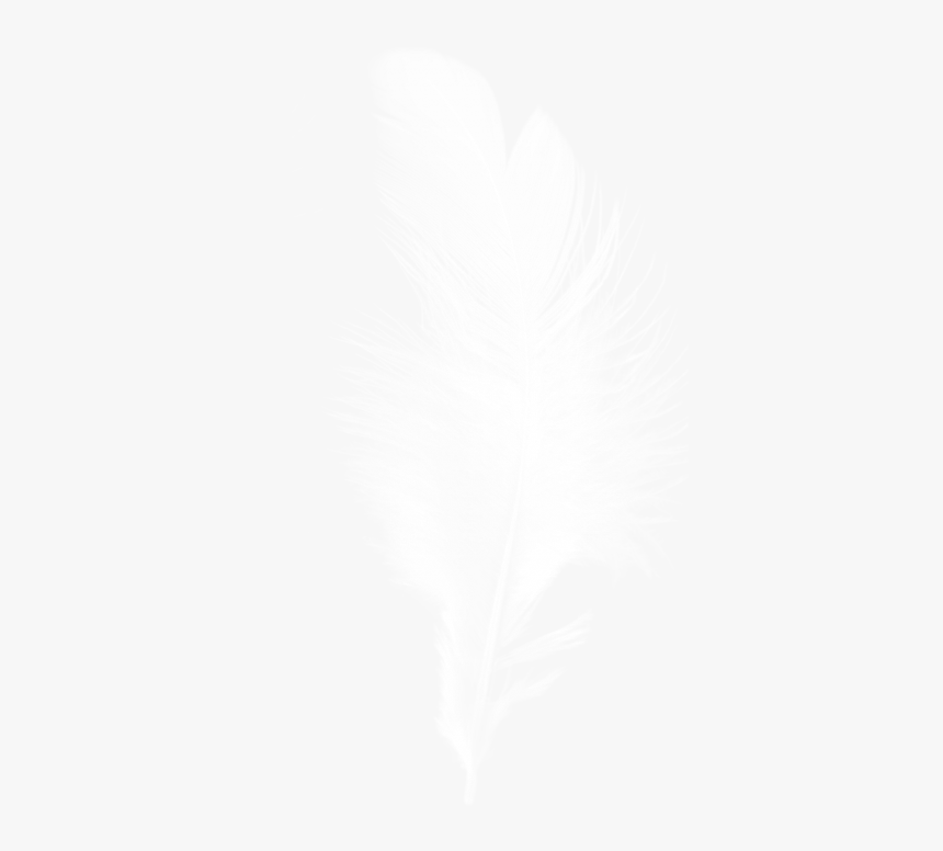 Liens De Sites Utiles - Plum Help Me, HD Png Download