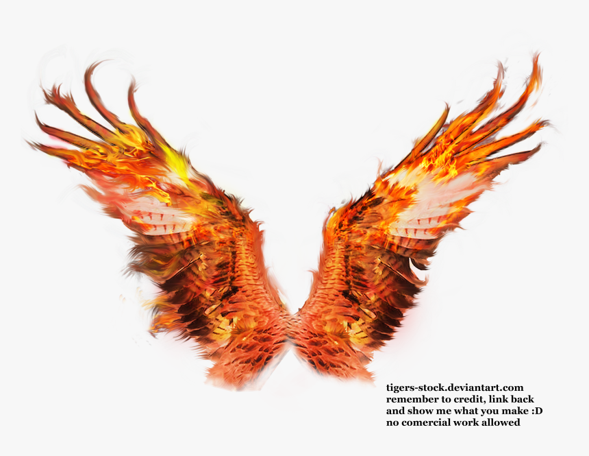 Phoenix Wings Drawing At Phoenix Wings Transparent Background, HD Png