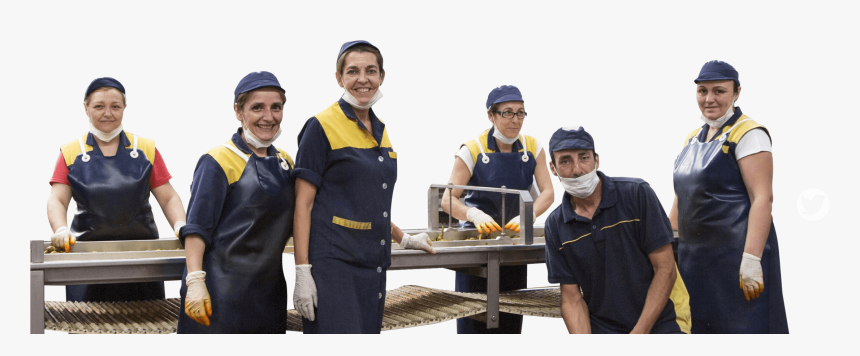 Grilling, HD Png Download