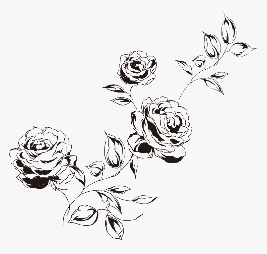 矢量炭笔素描箭头免扣png - Floribunda, Transparent Png