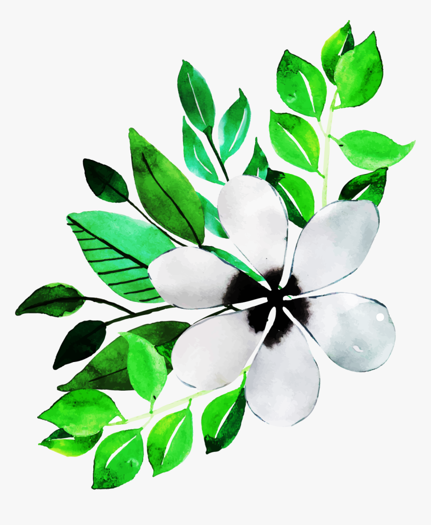 Jasmine, HD Png Download