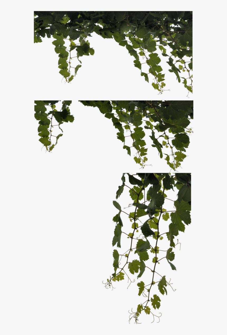 Vine Leaves Png - Camouflage Leaves Png, Transparent Png