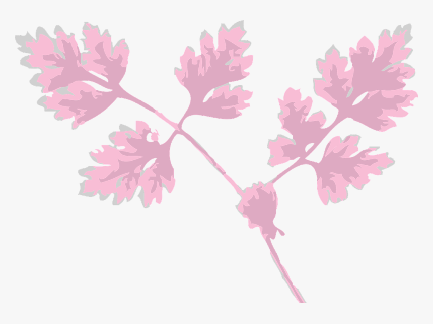 Folhas Rosa Png, Transparent Png