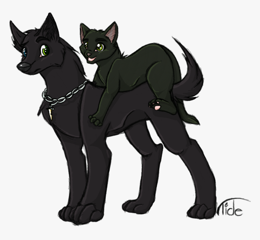 Vector Freeuse Download View Topic Thentsi S - Wolf And Black Cat, HD Png Download