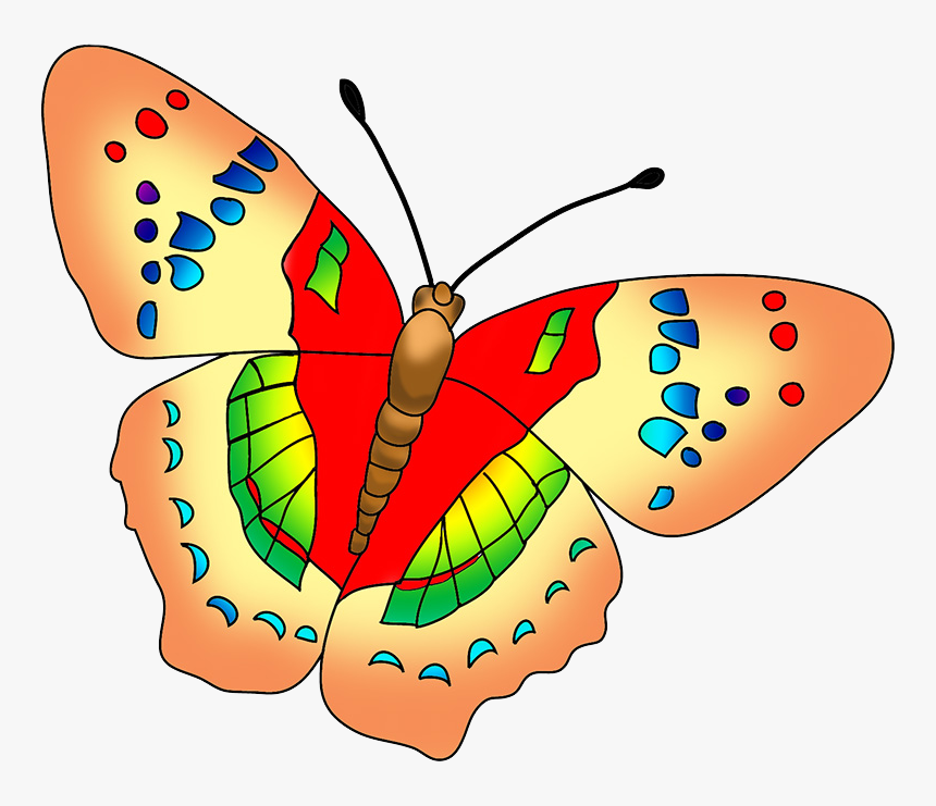 Multicolored Butterfly Image - Beautiful Butterfly Clip Art, HD Png Download