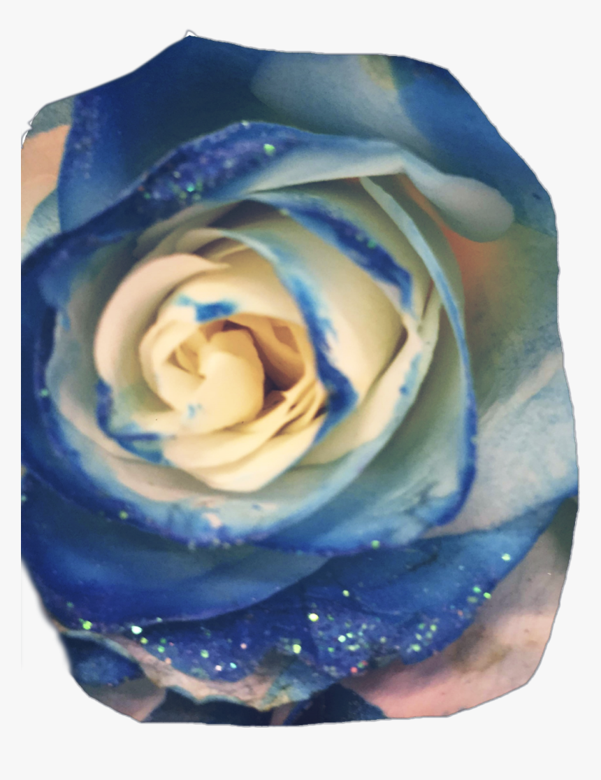 #aesthetic - Floribunda, HD Png Download