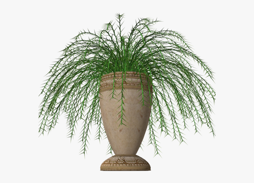 Pot Plant Clipart Fern Plant Deviantart Stock Stock - Potted Fern Plants Transparent Background, HD Png Download