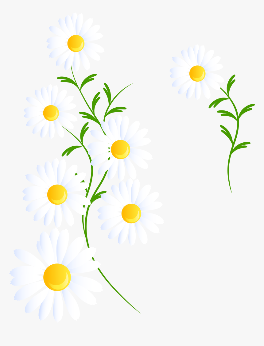 Portable Network Graphics, HD Png Download