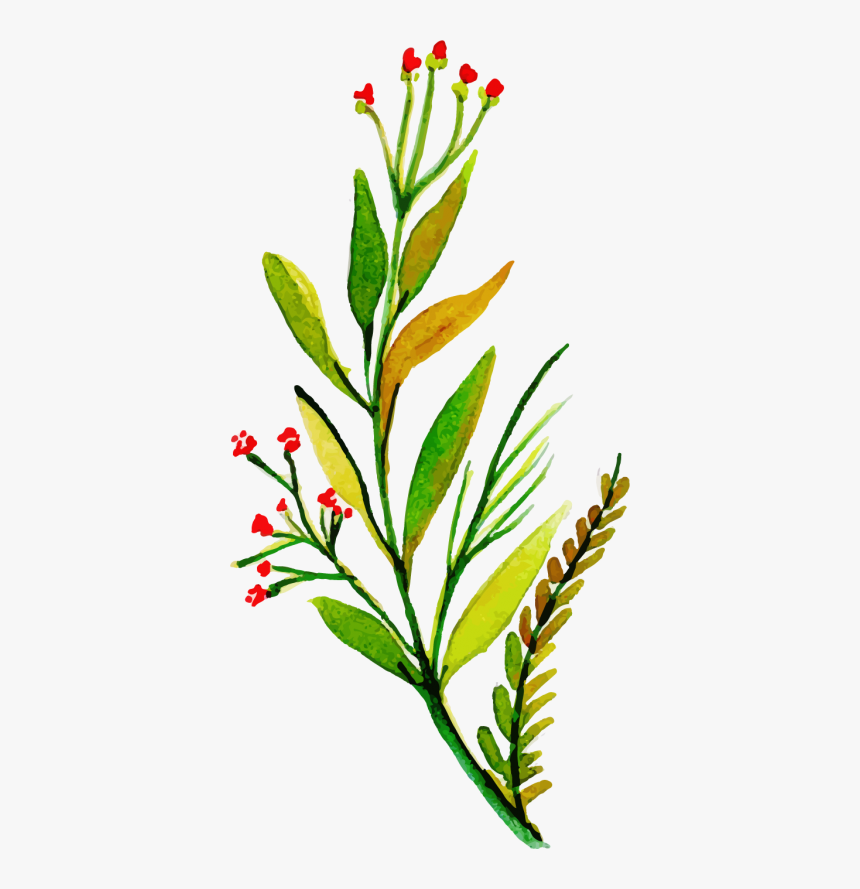 Clip Art, HD Png Download