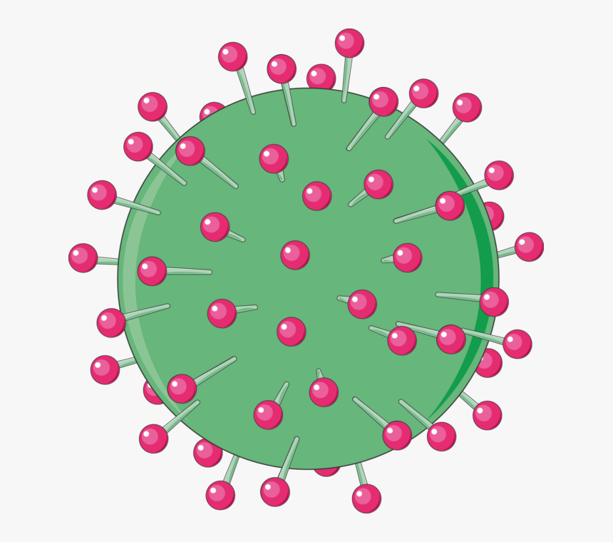 Virus Hepatitis B No Background, HD Png Download