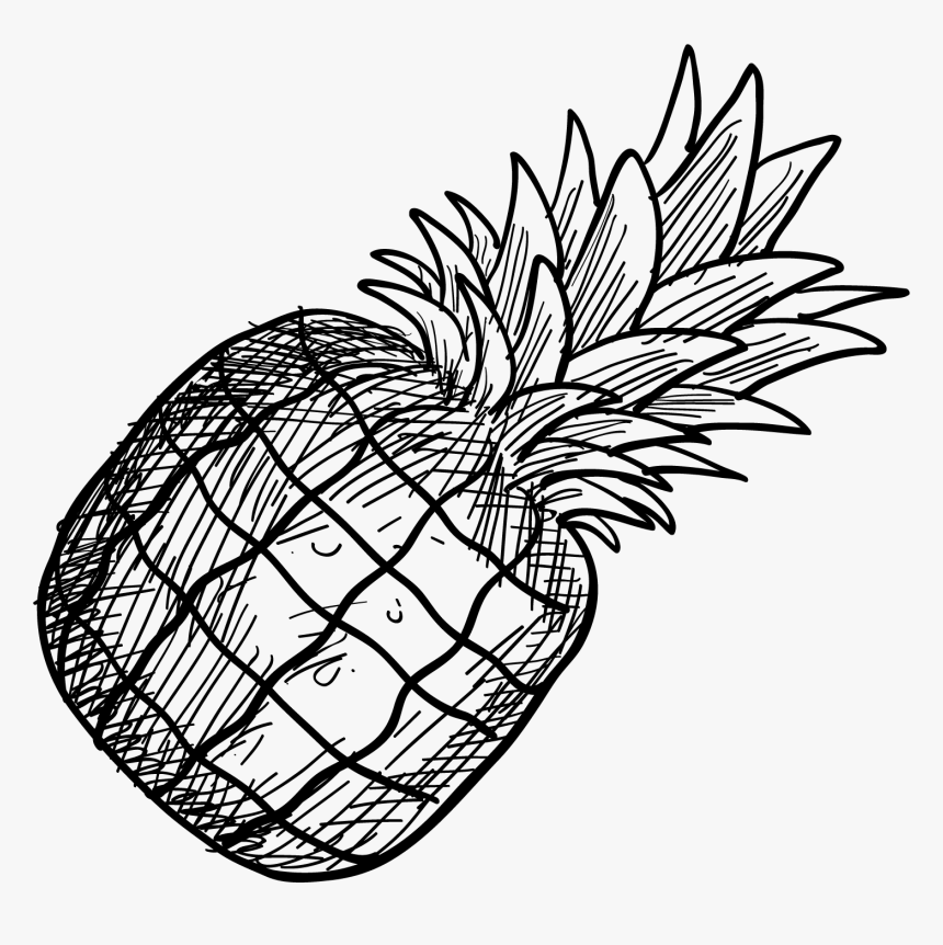 手绘菠萝png元素图片 - Line Art, Transparent Png
