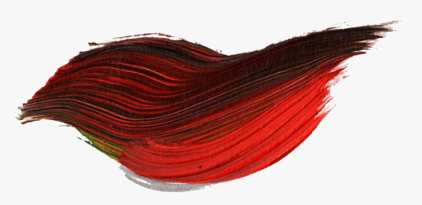 Optical Fiber, HD Png Download