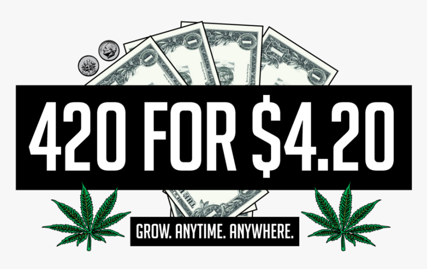 Website-graphic - Four Dollars, HD Png Download