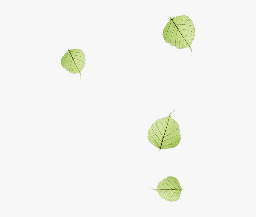 Umbrella, HD Png Download