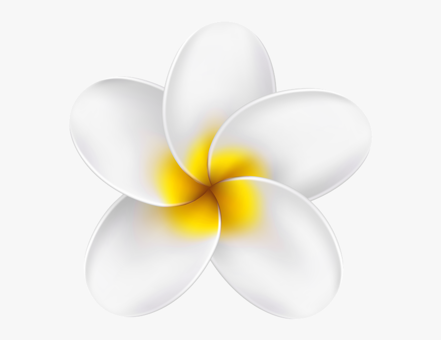Tropical Flower Yellow Clipart, HD Png Download
