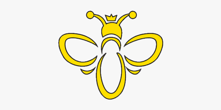 Bee Clipart No Background - Cartoon, HD Png Download