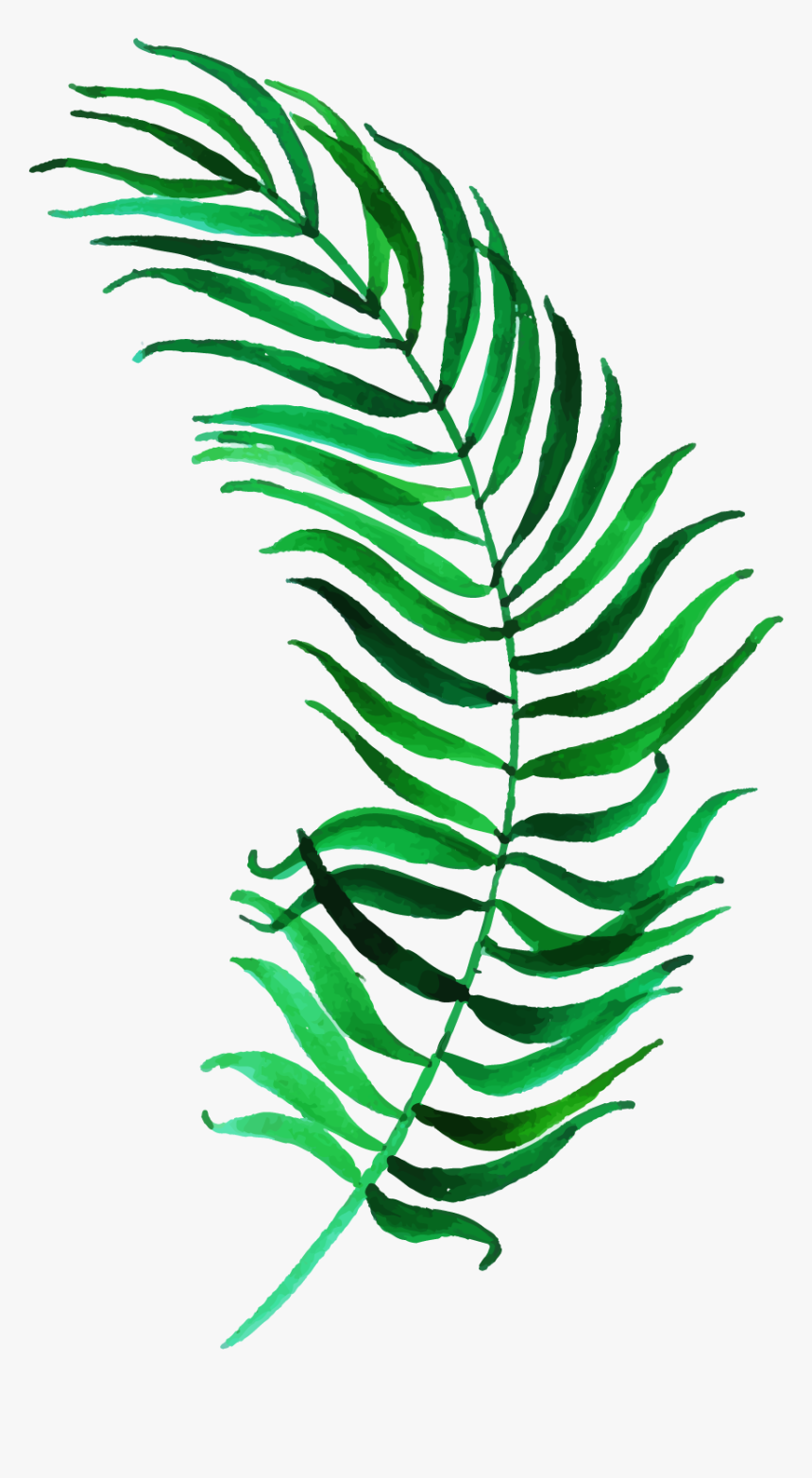 Illustration, HD Png Download